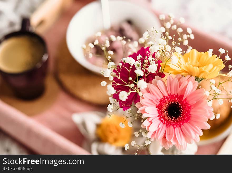 Shallow Focus Photography of Coffee and Dish With Pink Gerbera Daisy