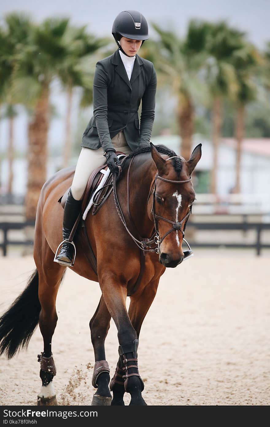 Woman Rides Brown Horse