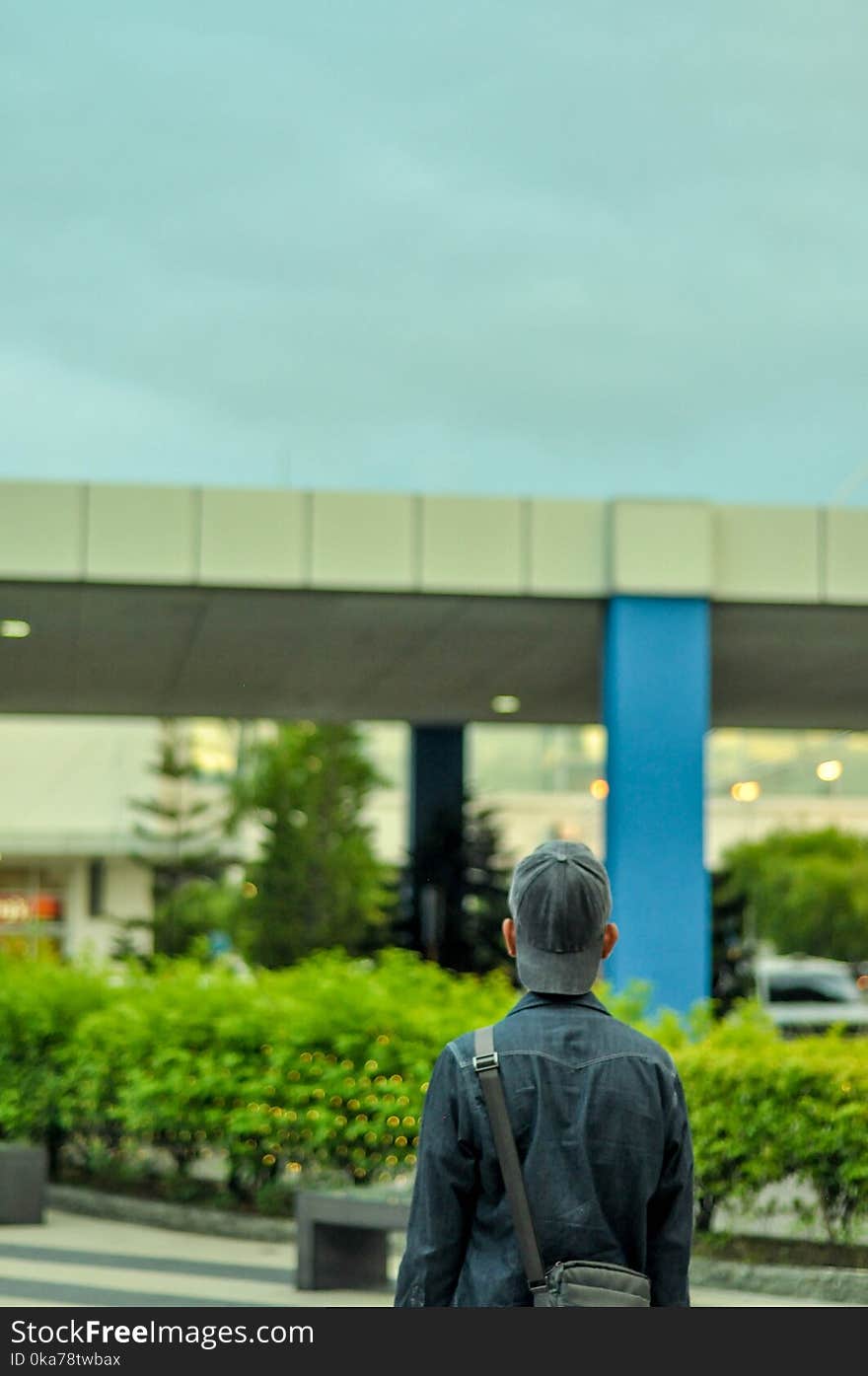 Person Wearing Blue Denim Jacket and Black Fitted Cap Near Green Leaf Bushes