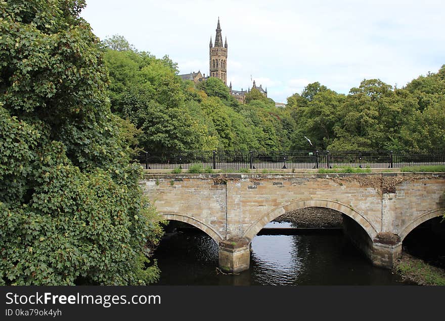 Brown Brick Bridge Surrounded By Trees