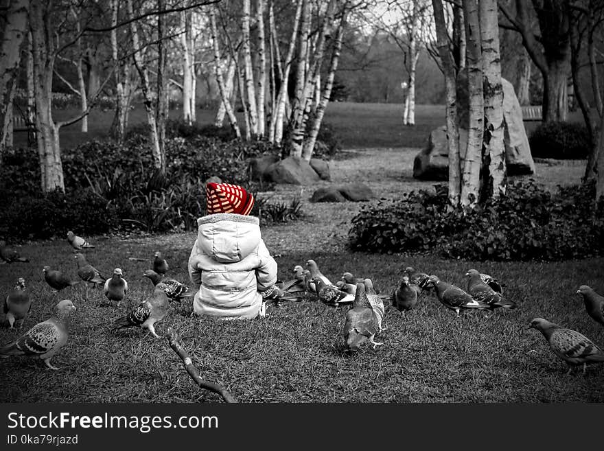 Selective Colour Photography Of Toddler Sitting On Grass Next to Pigeons