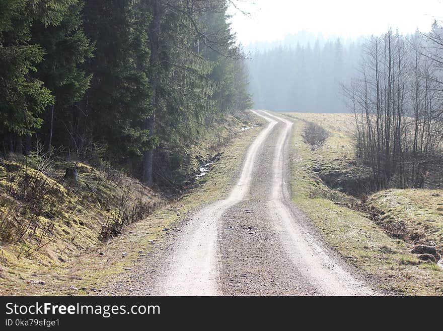 Photo Of Road And Trees