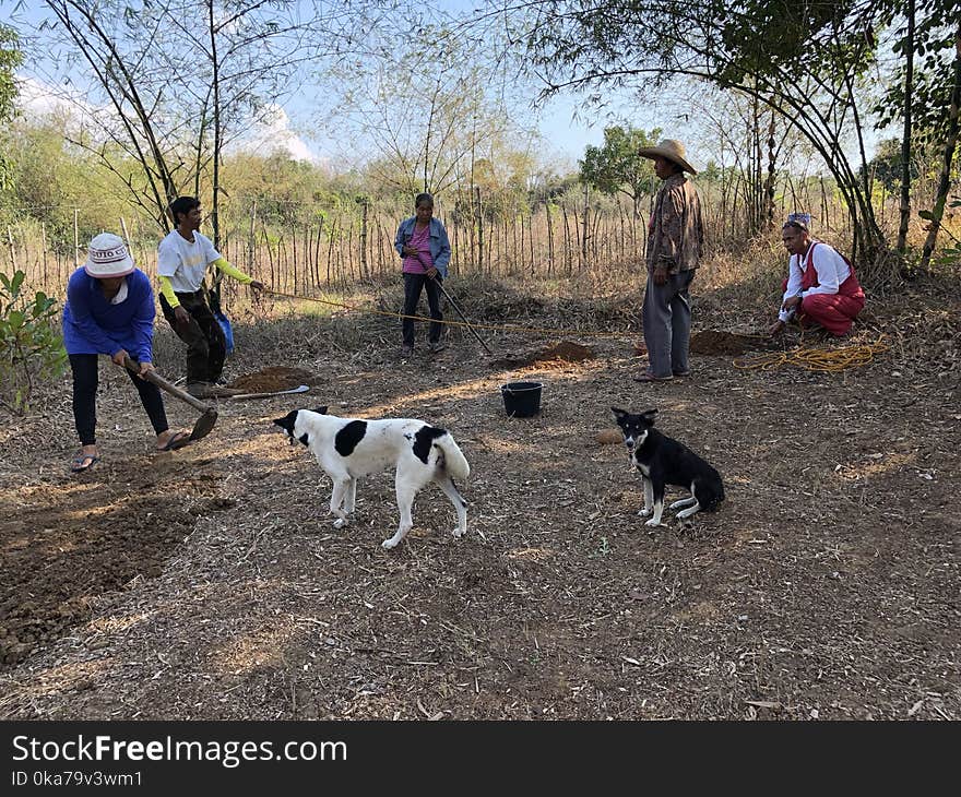 Photography Of People With Dogs