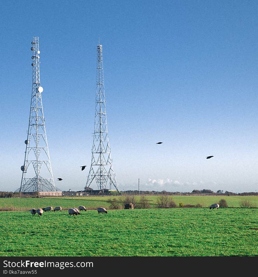 Two White Towers