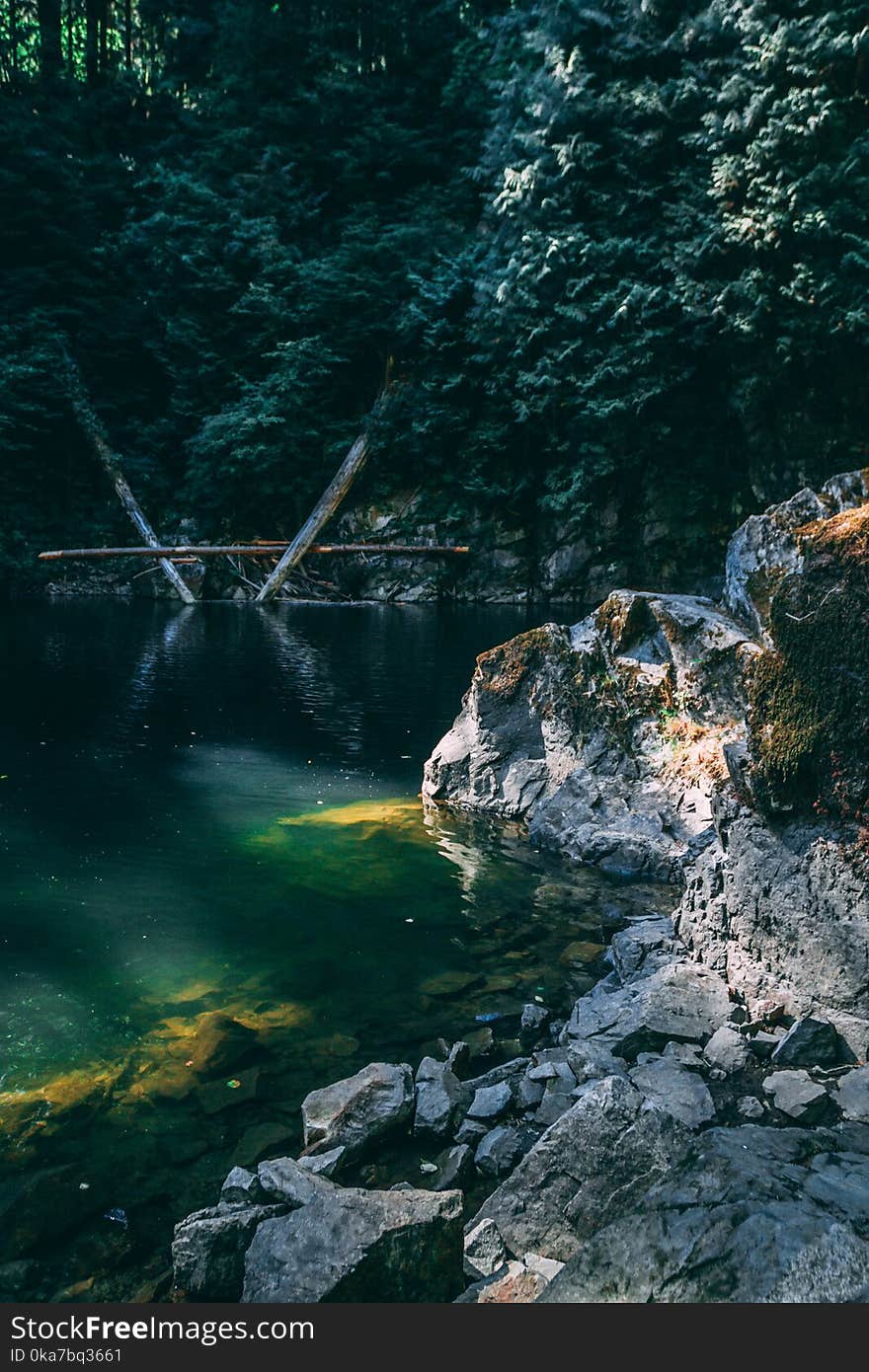 Calm Body of Water