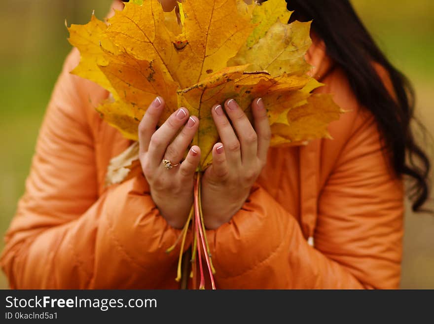 Closeup of woman`s hands holding beautiful bunch of yellow marple leaves. Young smiling woman walking in park and making bouquet of autumn leaves. Happy autumn, thanksgiving and lifestyle concept. Closeup of woman`s hands holding beautiful bunch of yellow marple leaves. Young smiling woman walking in park and making bouquet of autumn leaves. Happy autumn, thanksgiving and lifestyle concept