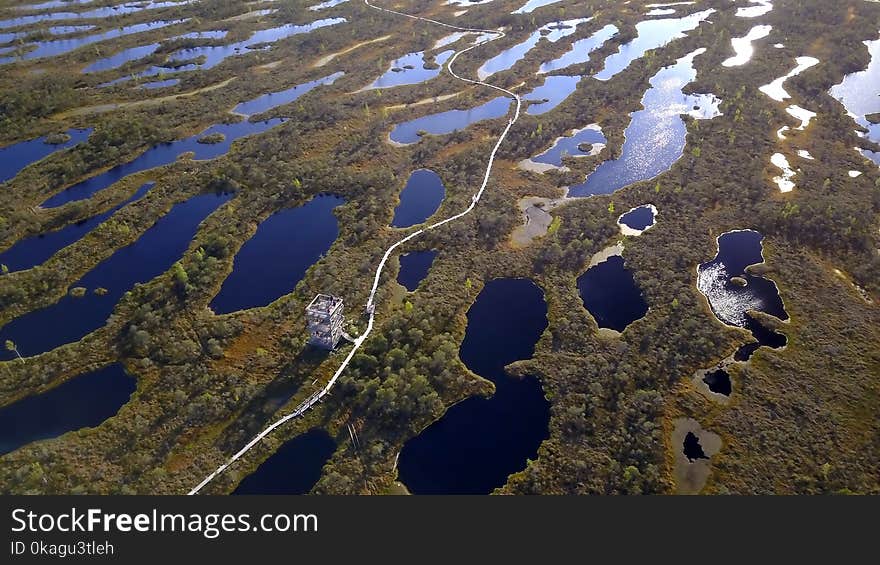 Aerial View On National Park Kemeri.