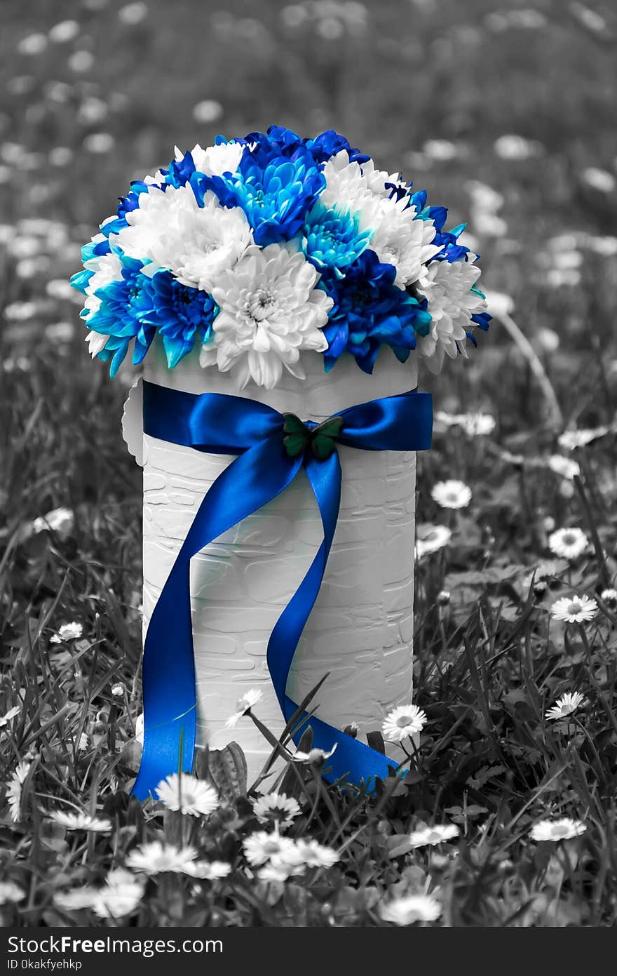 Flower arrangement of blue and white chrysanthemums in luxury handmade gift box . Flower arrangement of blue and white chrysanthemums in luxury handmade gift box .