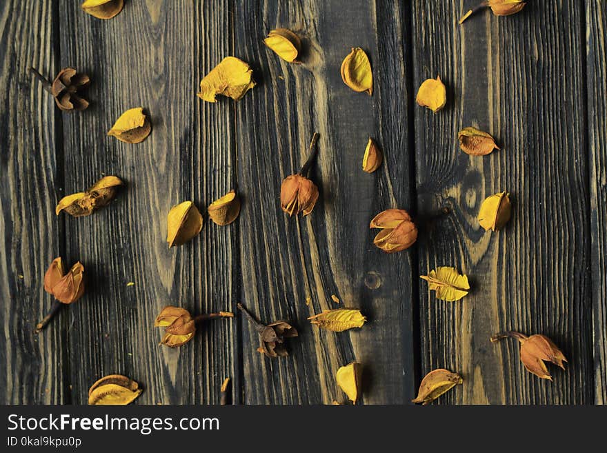 Petals of dried flowers on wooden background.