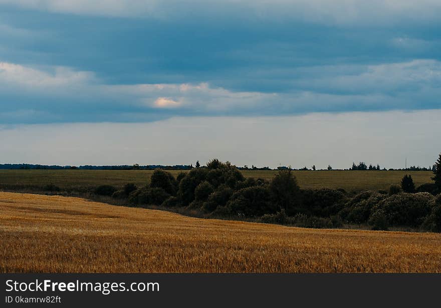 Brown Plain Under Blue Sky