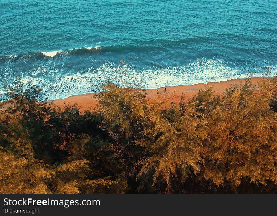 Bird&#x27;s Eye View of Beach