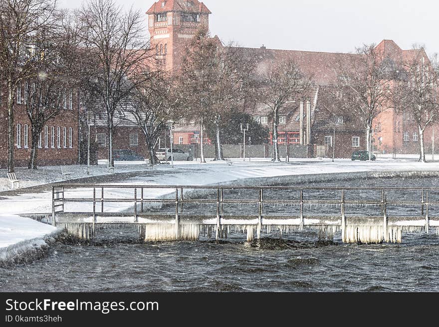 Photo of Gray Bare Trees Near Body of Water