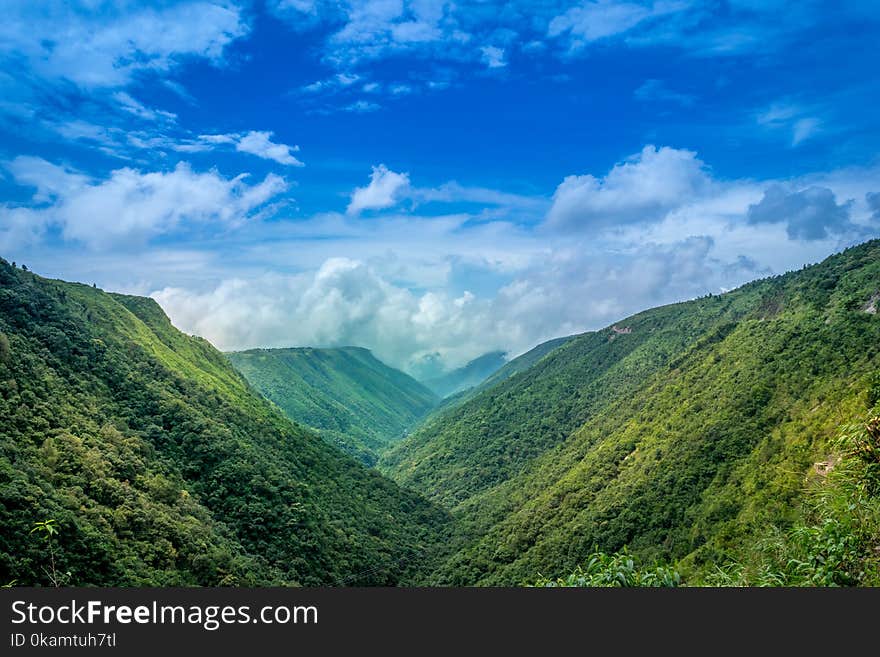 Green Plants Covered Mountain