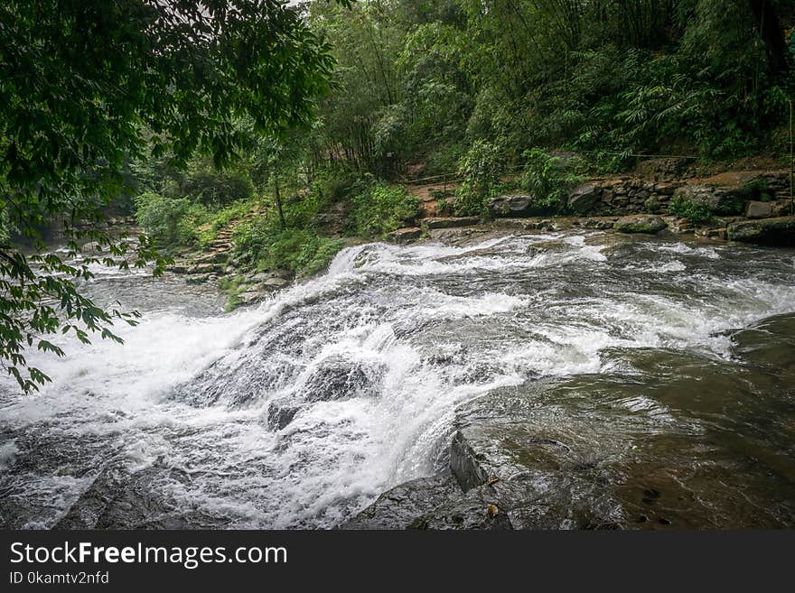 Landscape Photography of River in Forest