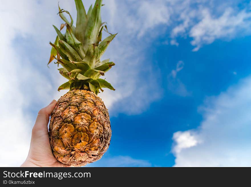 Human Left Hand Holding Pineapple While Raising on the Sky