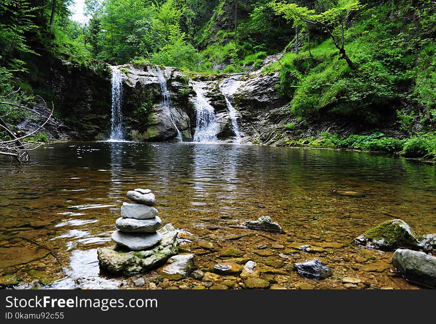 Body of Water Across Forest