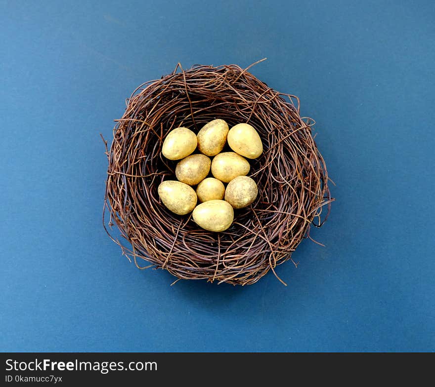 White Eggs in Brown Nest