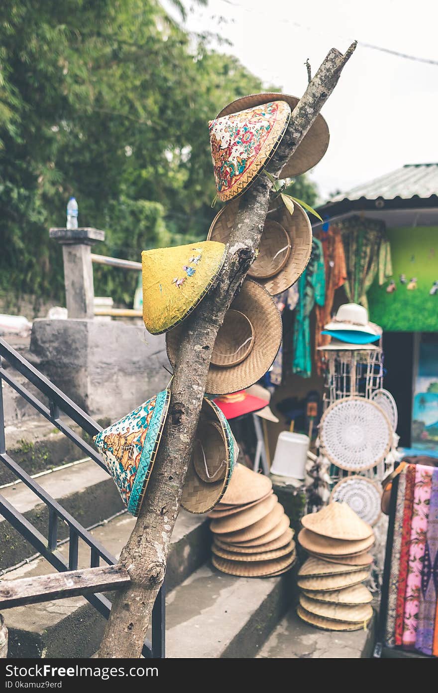 Photo of Hats Hanging on Tree