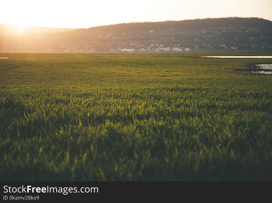 Green Grass Field during Sun Rise