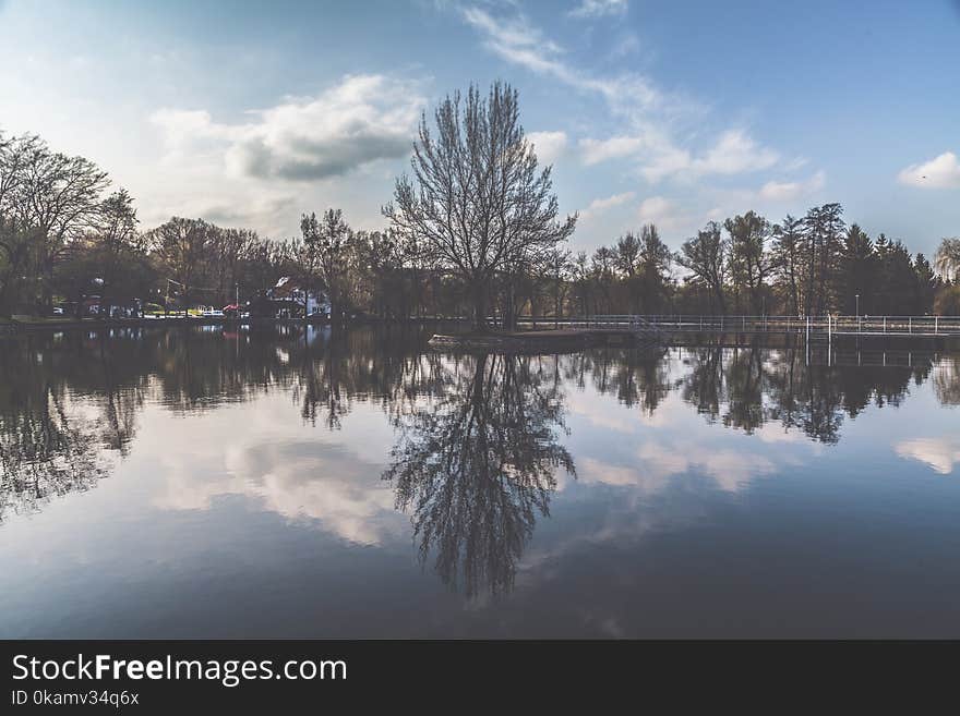 Reflection of Trees on Body of Water