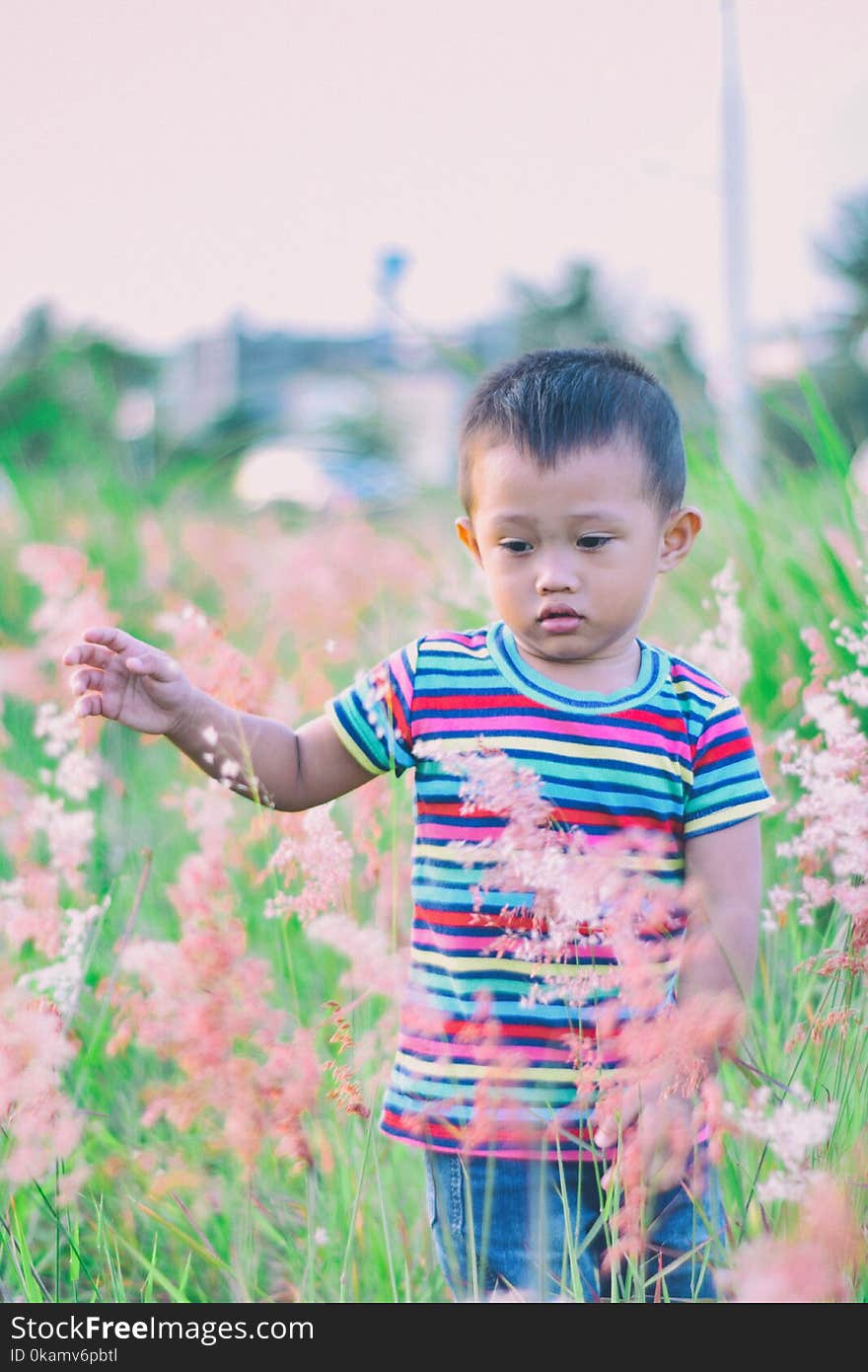 Boy Walking on Bush-covered Field Selective Focus Photo