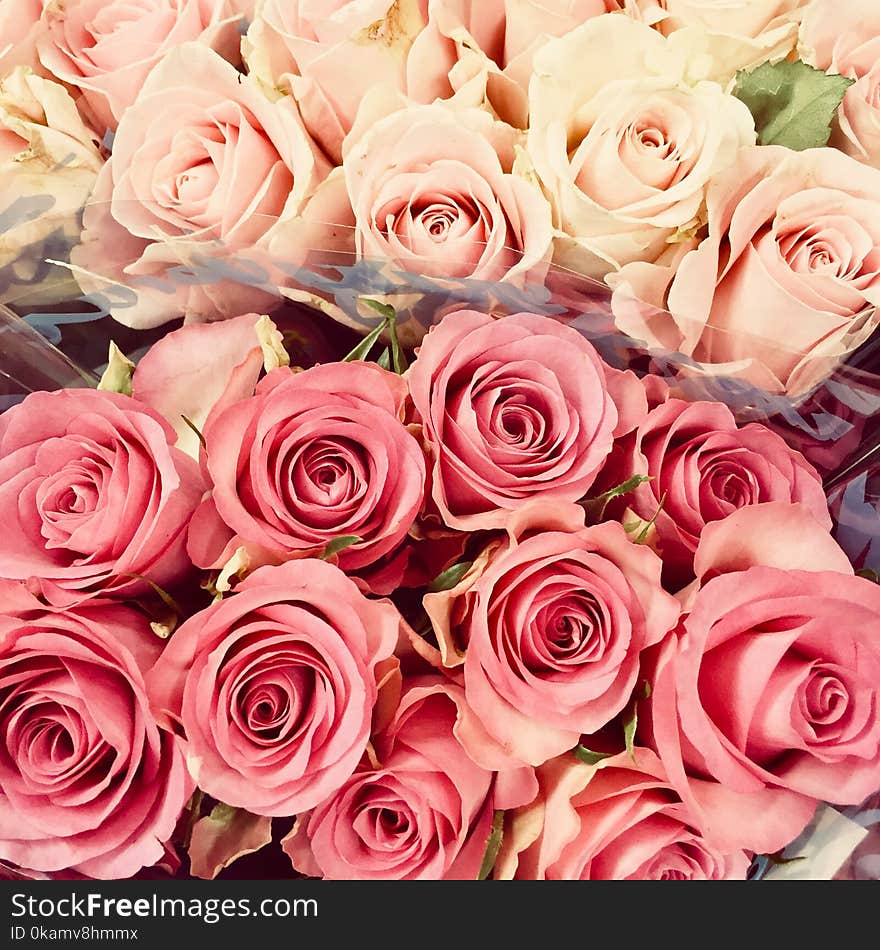 Pink and Red Rose Bouquets