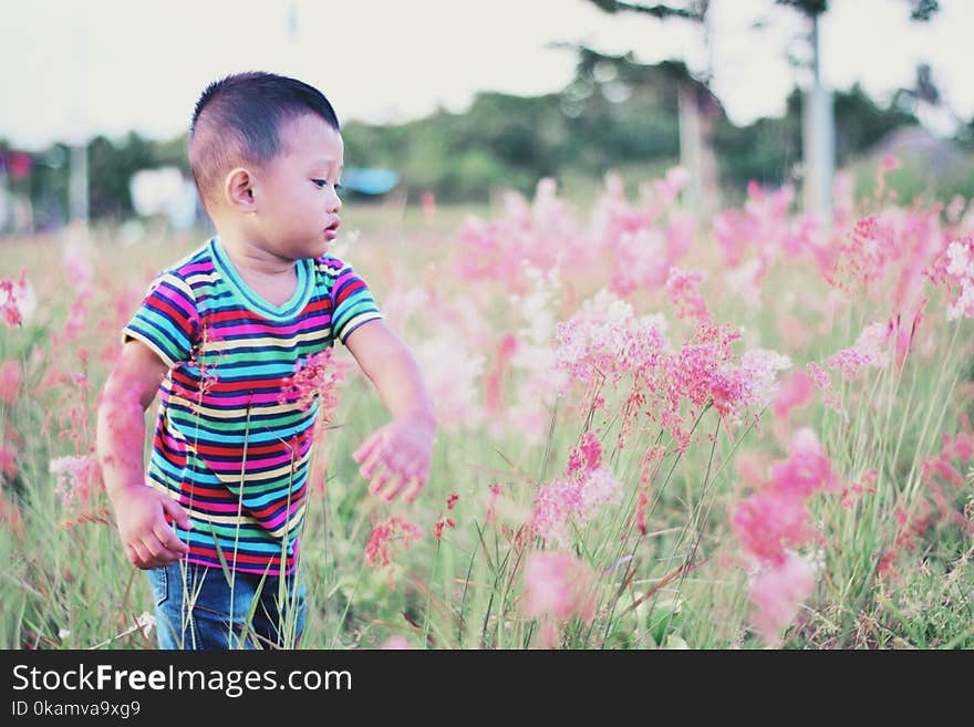 Boy Standing Surrounded by Bed of Red Petal Flower