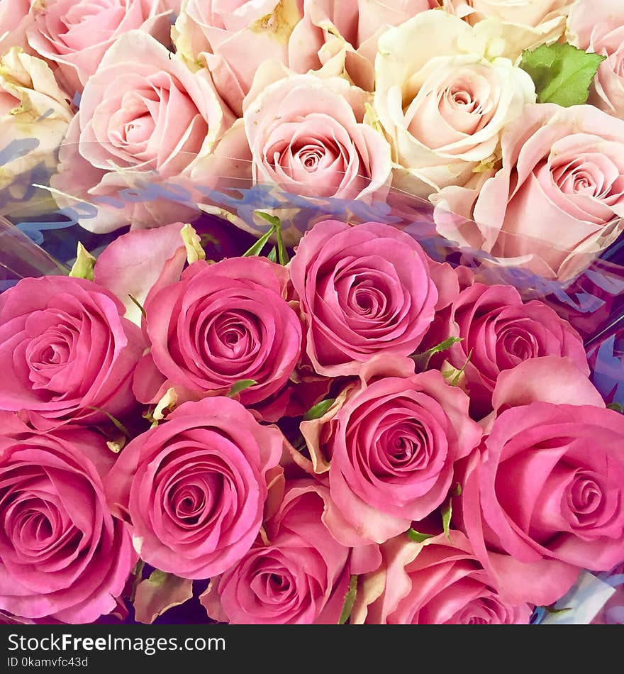 Pink and White Rose Boquets