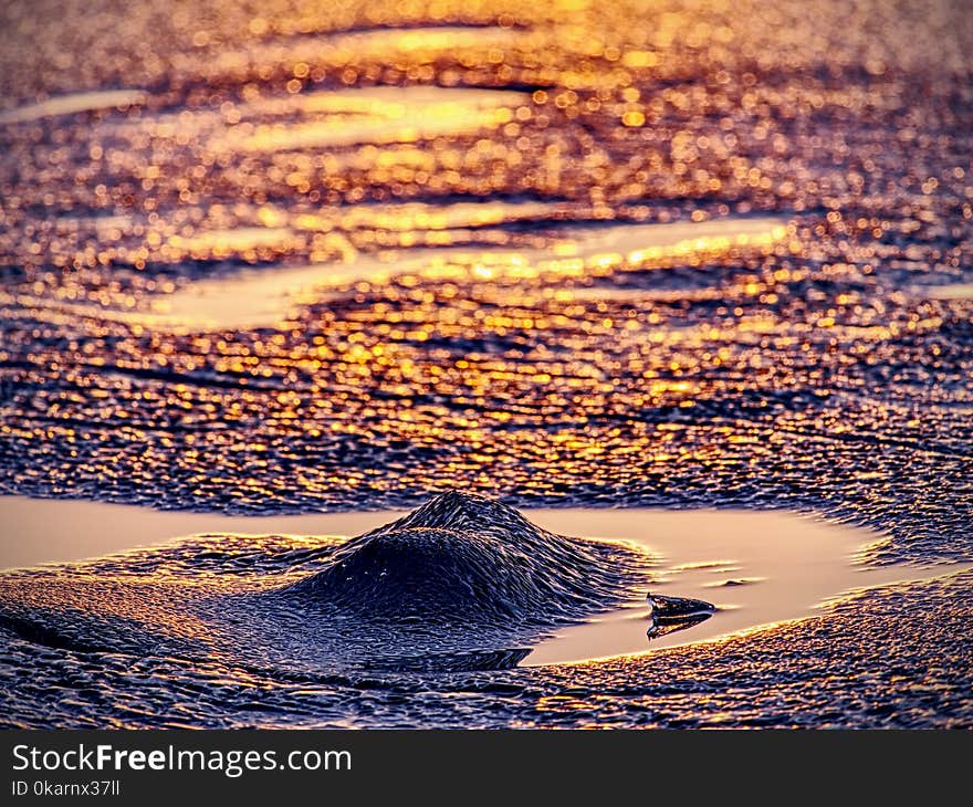 Shiny cold ice pieces on clear ice floe. Structure of natural ice in selective focus