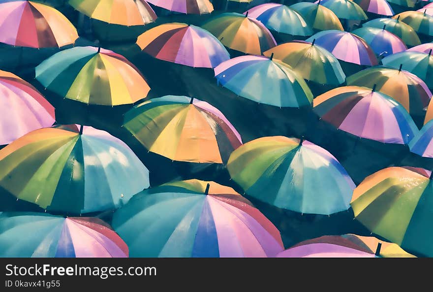 Colorful umbrellas urban street decoration. View of umbrellas fr