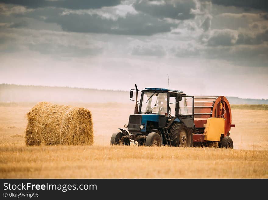 Tractor Collects Dry Grass In Straw Bales In Summer Wheat Field. Special Agricultural Equipment. Hay Bales, Hay Making