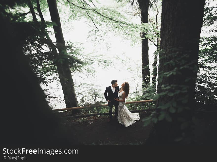 Happy wedding couple walking in a botanical park.