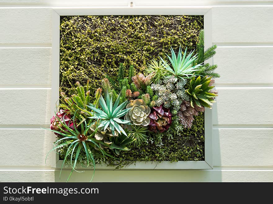 Decorated wall vertical garden, Background.