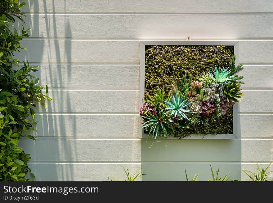 Decorated wall vertical garden idea in the city, Background. Decorated wall vertical garden idea in the city, Background.