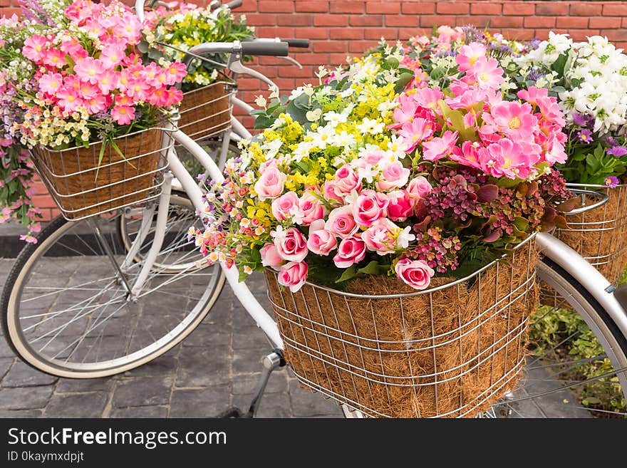 Beautiful colorful flowers in a basket of white vintage bicycle, Concept for wedding and valentine `s day. Beautiful colorful flowers in a basket of white vintage bicycle, Concept for wedding and valentine `s day.