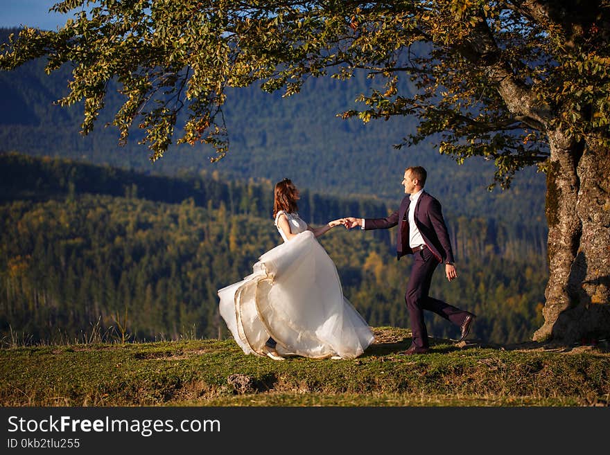 Bride And Groom In Carpathians, Mountains,