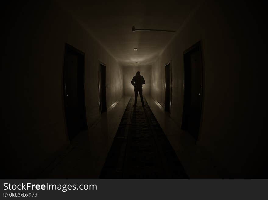 Creepy silhouette in the dark abandoned building. Dark corridor with cabinet doors and lights with silhouette of spooky horror per