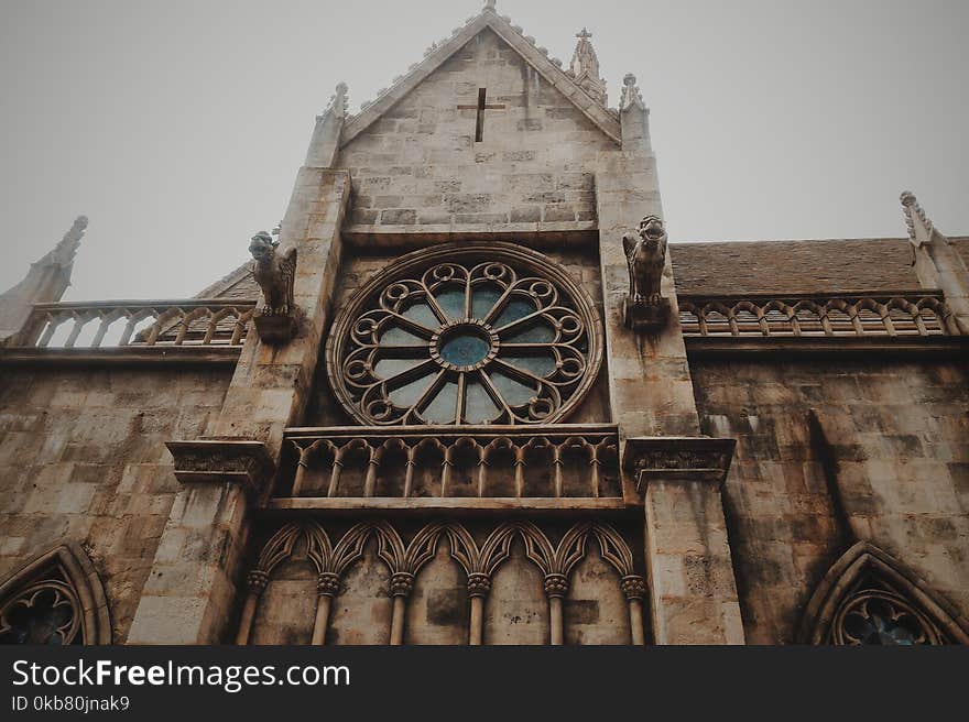 Low-angle Photo of Brown Concrete Cathedral