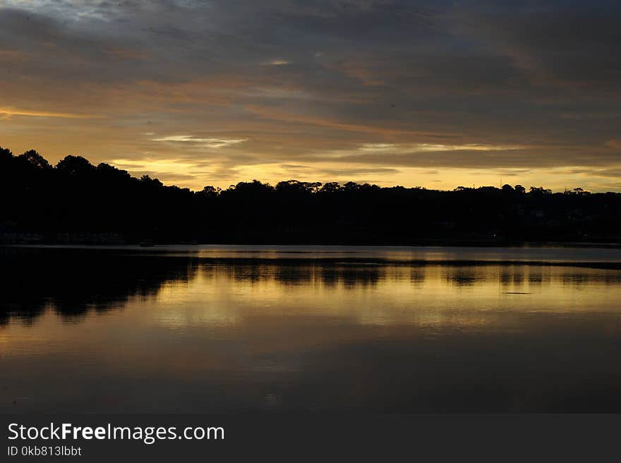 Silhouette Photo of Trees Near River