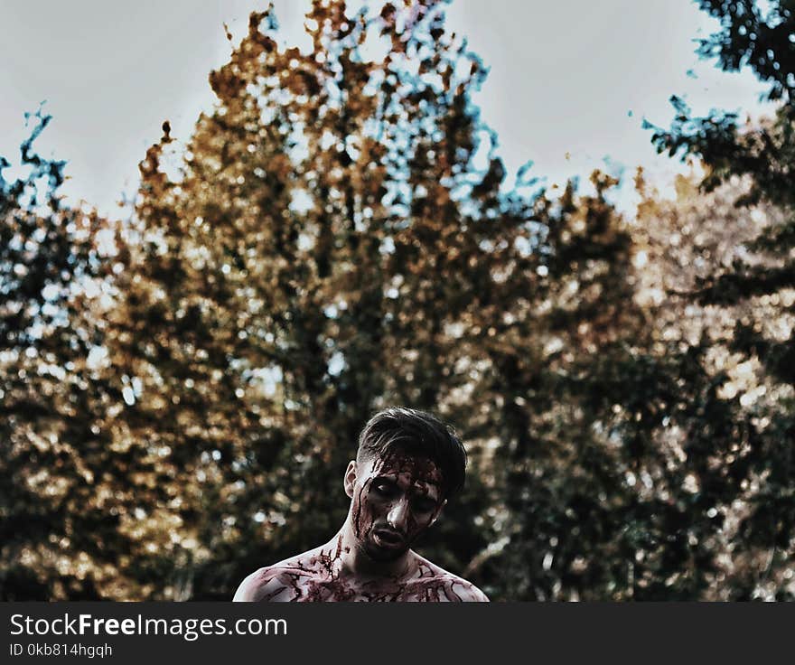 Photo of Man Full of Blood Near Trees