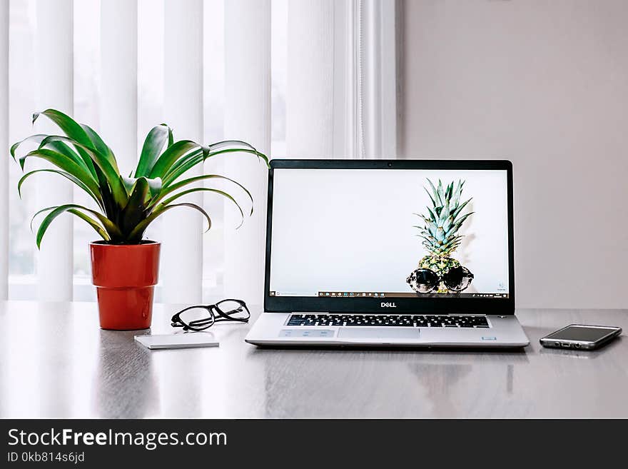 Photo of Laptop Near Plant