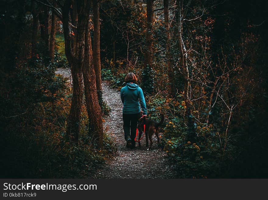 Woman Beside Dog Walking in the Forest Under Tall Trees at Daytime