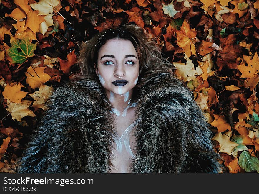 Woman in Black Fur Coat Laying on Brown Maple Leaves