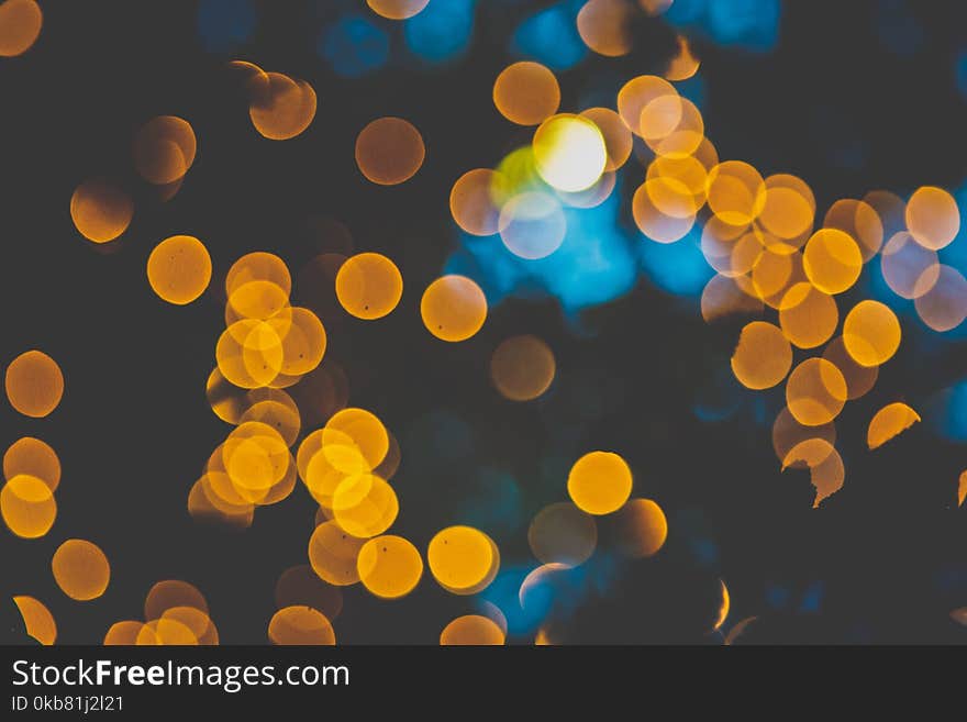 Yellow Bokeh Photo