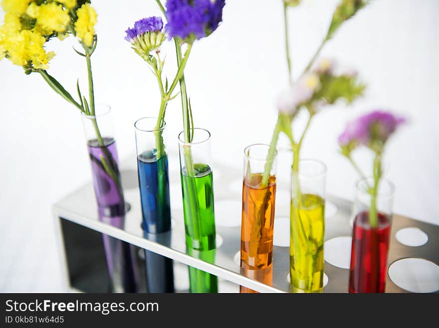 Assorted-color Flowers