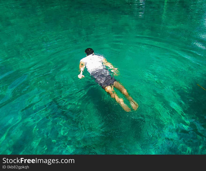 Photo of Man Swimming On Clear Water