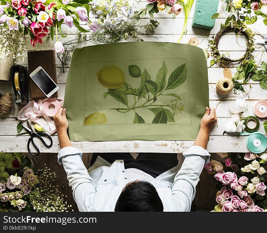 Person Holding Plant Painting