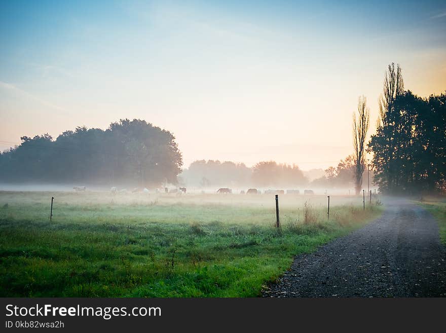 Photography of Green Grass Field