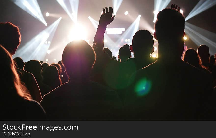 Silhouette Photo of People in Front of Stage