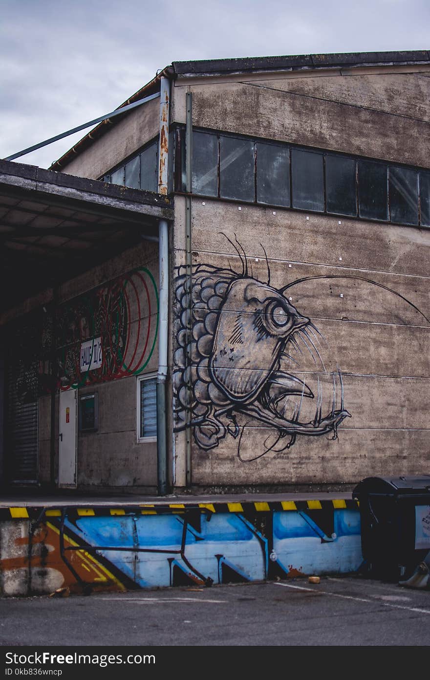 Closed Brown Building With Monster Fish Graffiti Photography